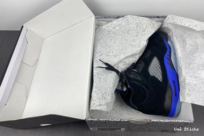 CT4838- 4232 “Racer 579 Elegant 5 Jordan Air Blue” 1006